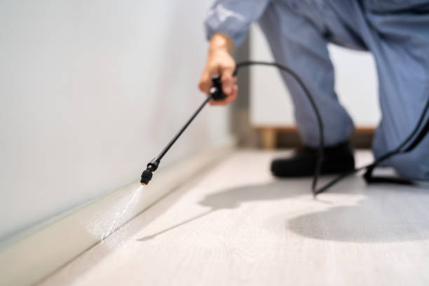 Licensed Pest Control service in Harrisville, RI - Show Me Pest Control