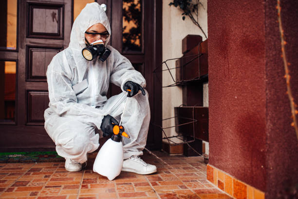 Reliable Wasp Removal contractor in Harrisville, RI by Show Me Pest Control